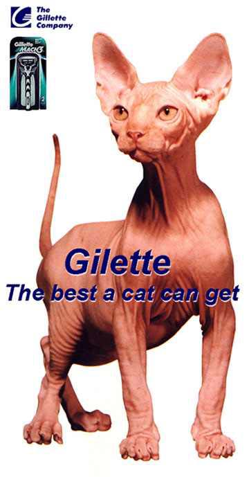 GILETTE